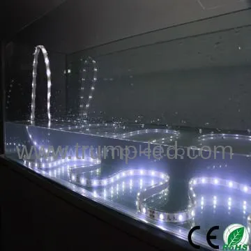 Waterproof 5050SMD Flexible RGB LED Strip Light