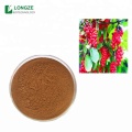Mass Stock Schisandra chinensis extract Direct sales