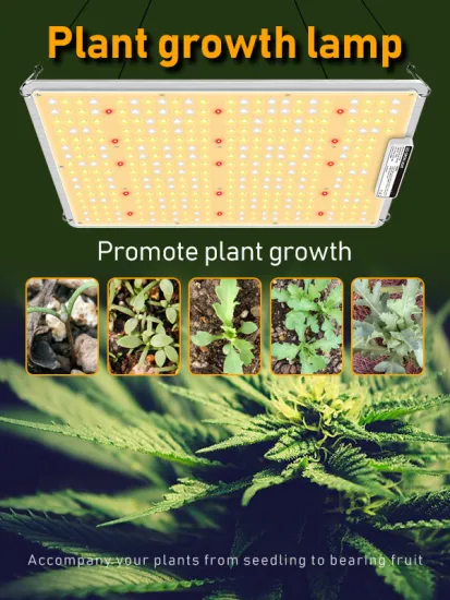 150w commercial led bloom light full spectrum led grow light