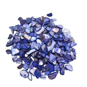 Large Stock Shell Fragments for Nail Art and Mother of Pearl Crafts