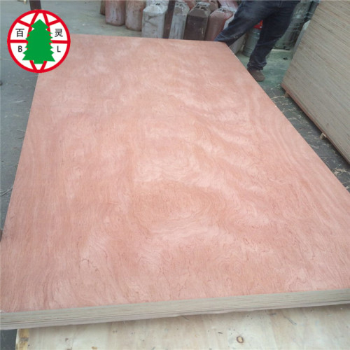 9mm Pencil Cender BBCC Plywood for sales