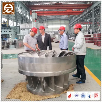 Hla551c-Lj-210 Type Francis Water Turbine/Hydro Turbine