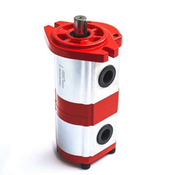 Pompe hydraulique en tandem pour la personnalisation d'usine