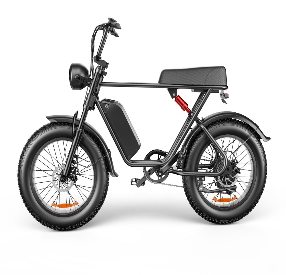 Gofunow C91 20 Inch Fat Tire Electric Bikes Jpg
