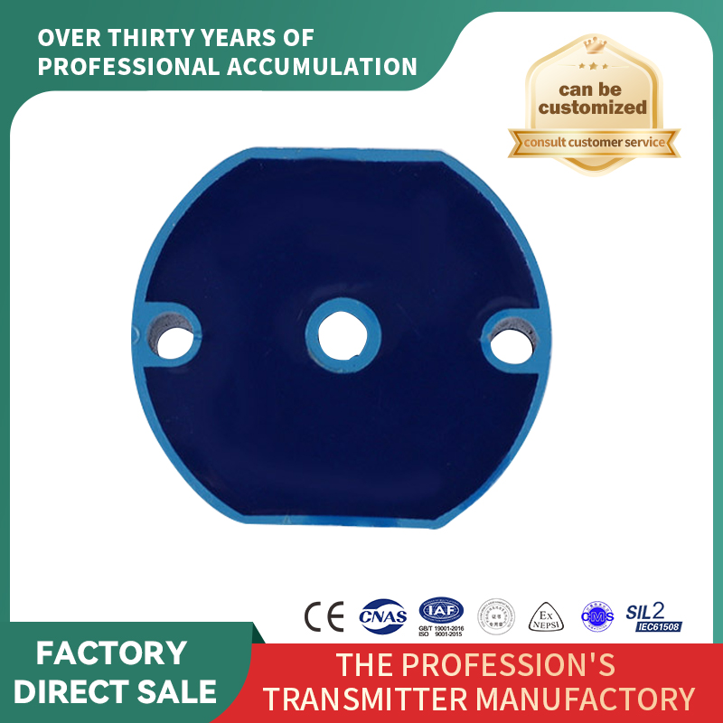 cu modul transmițător de temperatură montat pe Hart Head