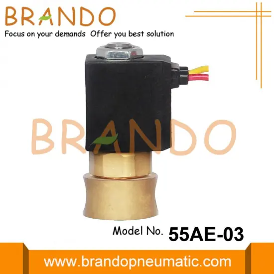 1/8'' Direct Operated Brass Solenoid Valve FKM Seal