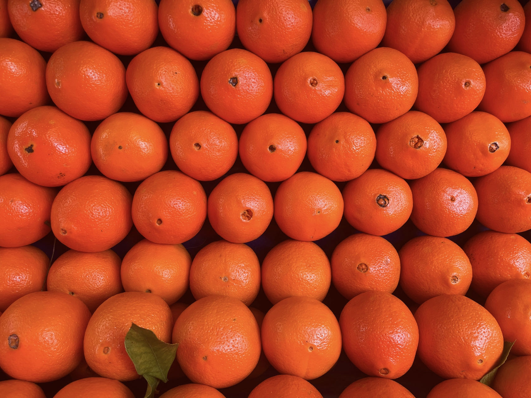 Chinese Mandarin Orange Juice Powde