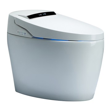 Modern Smart One Piece Bidet Toilet Bowl