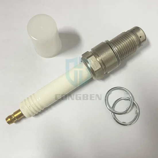 Factory Price Spark Plug Double Iridium X52404500062 X52404500027 X52404500039 for MTU