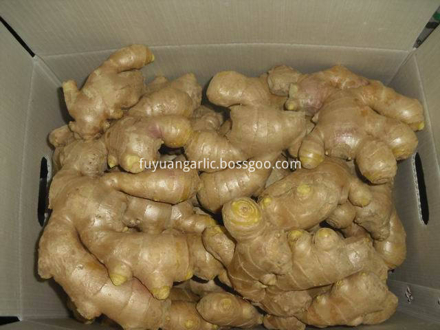 air dried ginger 