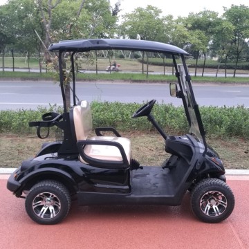 Xe golf chạy bằng khí ga tùy chỉnh hiệu suất cao