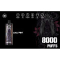 5200 Puffs Disposable Pen Kit Custom Vape Energy 8000 Disposable Supplier