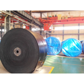 Hot Sale NN300 Cold Resistant Conveyor Belt