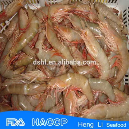 HL002 seafood frozen shrimp from china