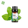 ODM del OEM del aceite del difusor de la aromaterapia del aceite esencial de la albahaca 10ml