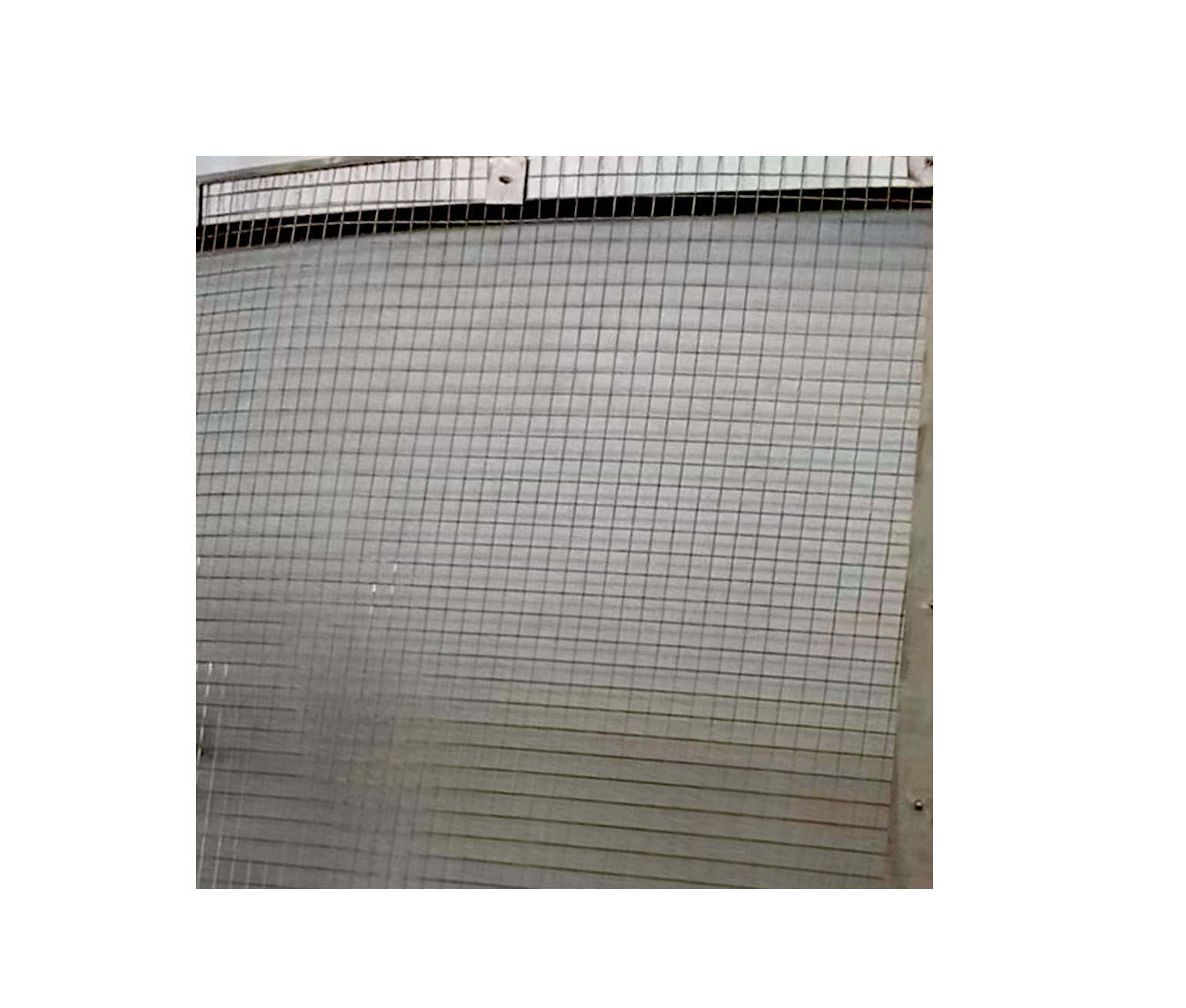 Air intake Bird Screen