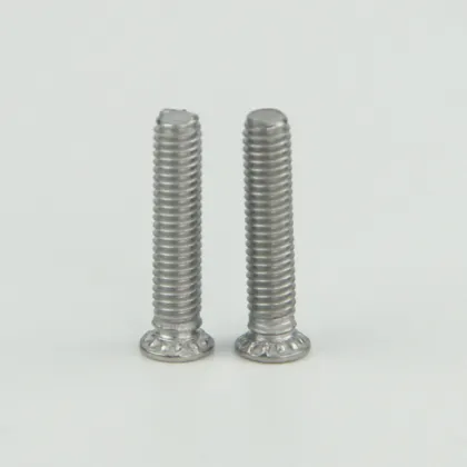 Stainless Steel Screws FHS M3 15 PS