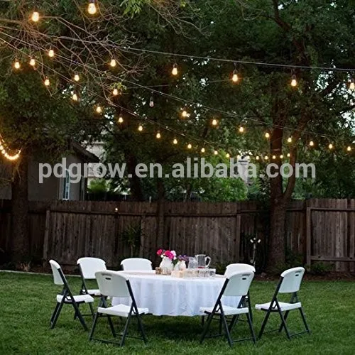 24 LED String Lights, black Wire, Plug-In, WARM WHITE led bulbs