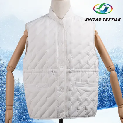 One-Piece Molding Down Jacket Shell Fabric