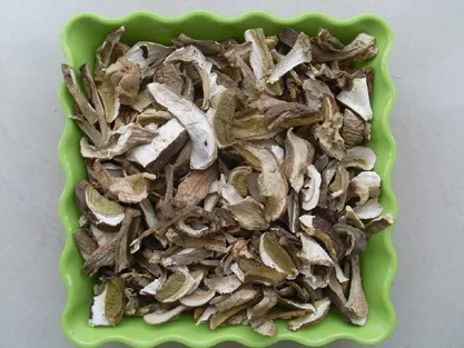 dried boletus edulis