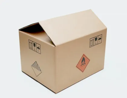 Professional DG Packaging Solutions