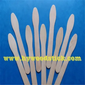 2016 Birchwood Plain Taster Ice Cream Paddle Spoon