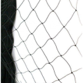 Malla de plástico resistente a los rayos UV Anti Bird Net