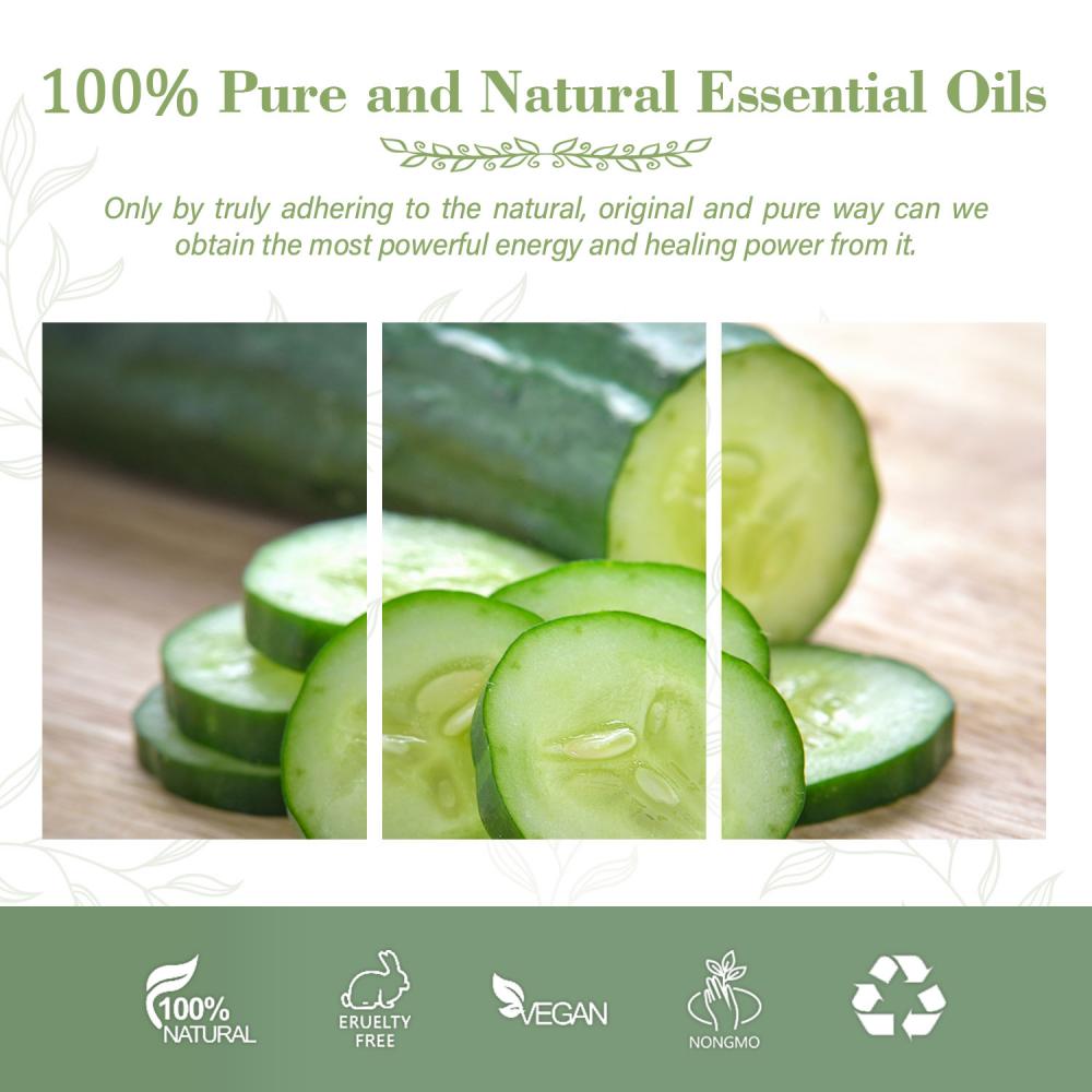 High Quality Pure and Organic Cucumber Seed Carrier Oil For Treating Skin and Dandruff