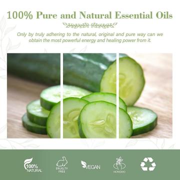 High Quality Pure and Organic Cucumber Seed Carrier Oil For Treating Skin and Dandruff