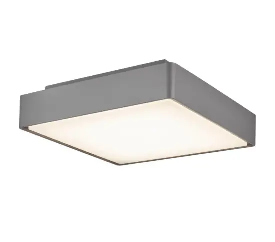 Rohs Certified P2201 LED Surface Mounted Ceiling Light for Indoor Housing, Suitable for Bedroom