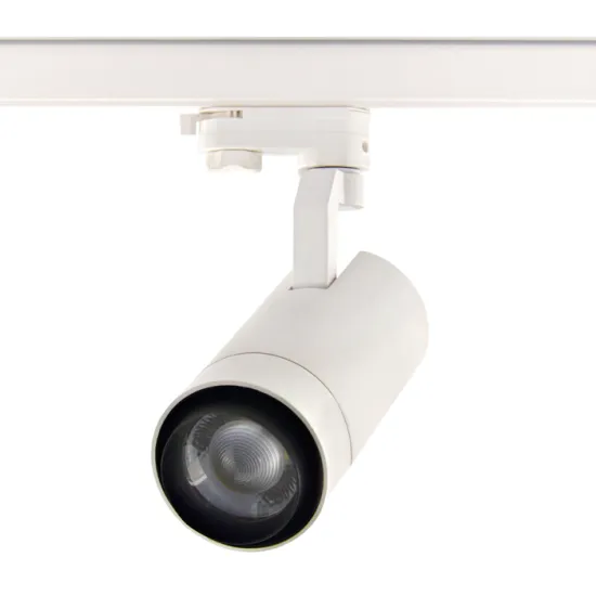 RONSE CCT Adjustable LED Track Light Spotlight