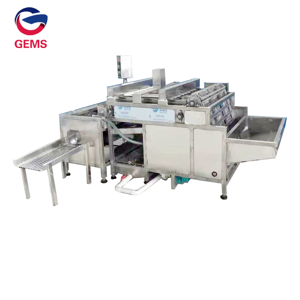 Brown Eggs Boiling Cooling and Peeling Machines Line