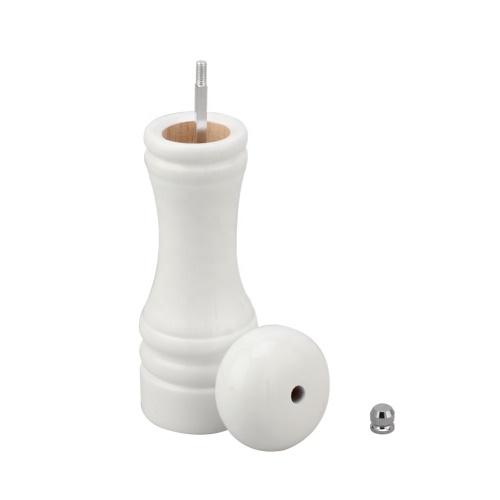 Refillable Salt Shaker with an Adjustable Ceramic Rotor