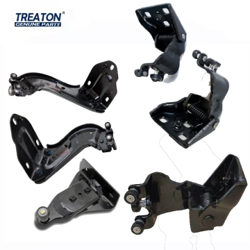 TREATON High Quality Door Hinge for Hyundai H1 2007-2018 (83930-4H000, 83940-4H000, 83960-4H000)