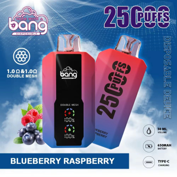 Bang 25000 Puff Vape High Capacity使い捨て蒸気