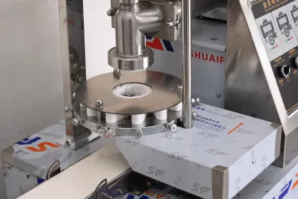 Electric Baozi Momos Buns Maker for Sale