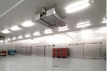 Blast IQF Fluidized Quick Freezer