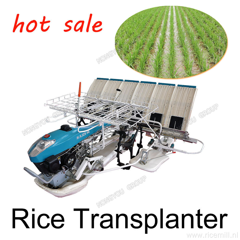 Rice Seedling Transplanter 6 Rows 2Zs-6A