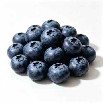 Fresh Blueberries for Growing Premium Fruit Market