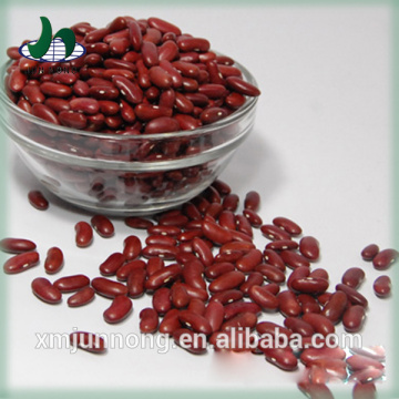 High quality low price healthy food nutritious delicious ethiopian red kidney beans