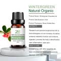 Natural Pure Wintergreen Essential Oil Resonable Precio