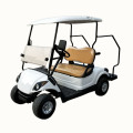 48V3KW 2 kişilik yüksek performanslı elektrikli golf arabası