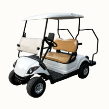 good price 2 seats cheap golf kart sale