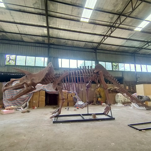 Triceratops Skeleton for Sale