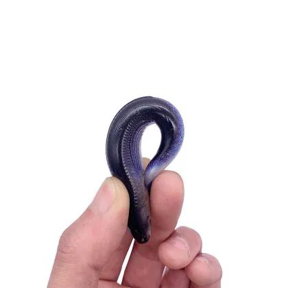 3D Printed Swim Shad Minnow Bass Fishing Lure Soft Bait Mackerel