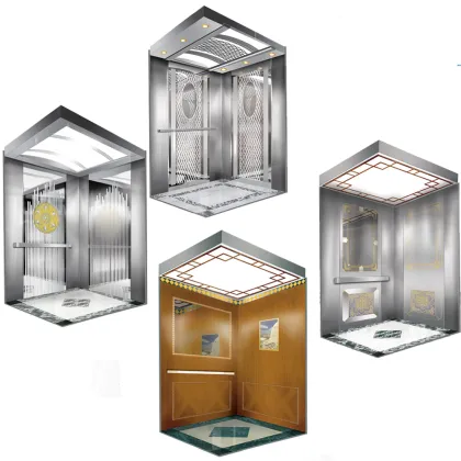 Luxury Brand of Passenger Lift Elevator Price