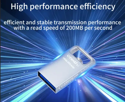 Kingston DTMAX (256GB) Product