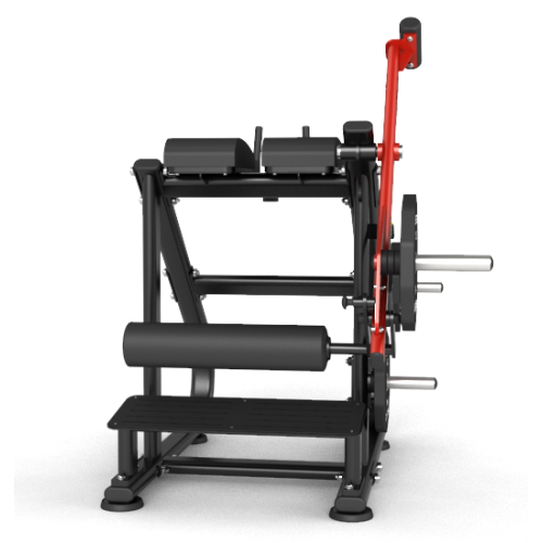 Reverse Hyper Extention Machine