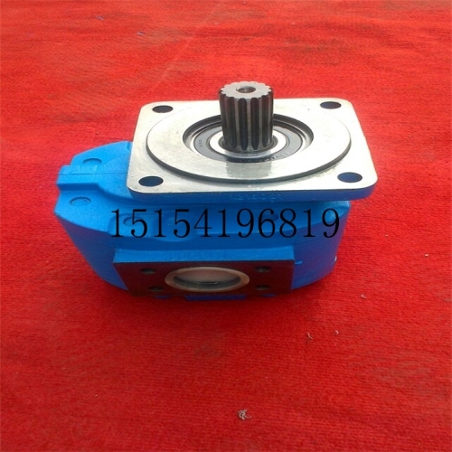 Jinan Hydraulic Pump Co.,ltd Jhp Gear Pump Jhp2100 Jhp2080 Jhp2063