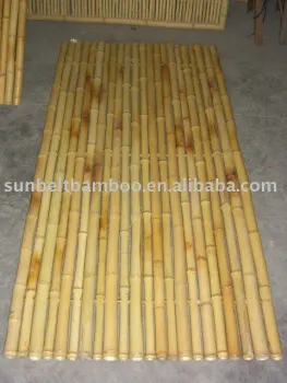 Bamboo fence Sun-021